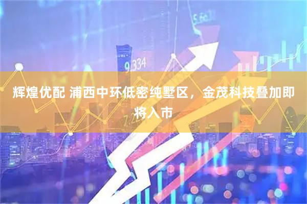 辉煌优配 浦西中环低密纯墅区，金茂科技叠加即将入市