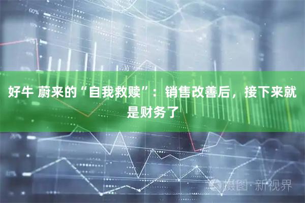 好牛 蔚来的“自我救赎”：销售改善后，接下来就是财务了
