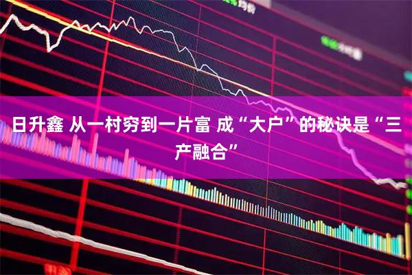 日升鑫 从一村穷到一片富 成“大户”的秘诀是“三产融合”