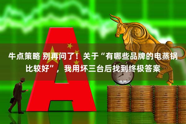 牛点策略 别再问了！关于“有哪些品牌的电蒸锅比较好”，我用坏三台后找到终极答案